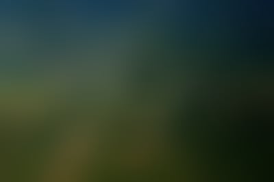 Blurred preview
