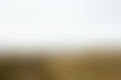Blurred preview