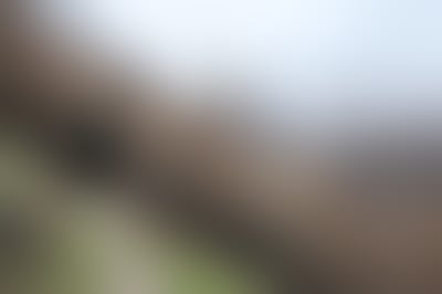 Blurred preview