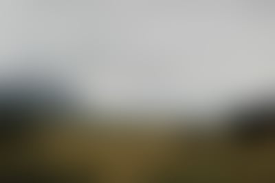 Blurred preview