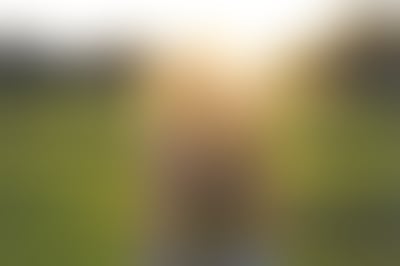 Blurred preview