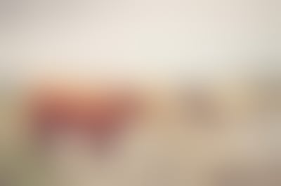 Blurred preview