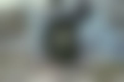 Blurred preview